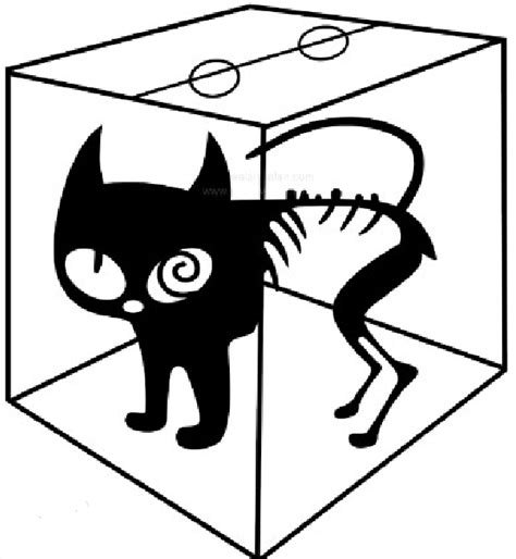 薛定谔的猫是死是活? 一个简单的例子让你秒懂量子力学