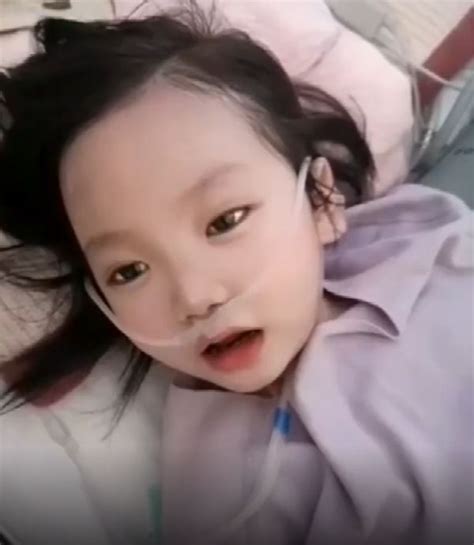 郑州8岁小天使病逝捐器官救5人，网友泪目：“她变成了一颗种子，到新的生命中发芽”_澎湃号·政务_澎湃新闻-The Paper