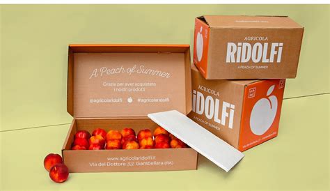 水果品牌营销策划和包装方案