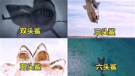 盘点影视中多头鲨鱼：六头鲨还在长头，三头鲨吃人只需一口