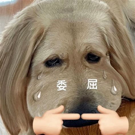 委屈巴巴动漫表情包图片 委屈巴巴动漫表情包图片