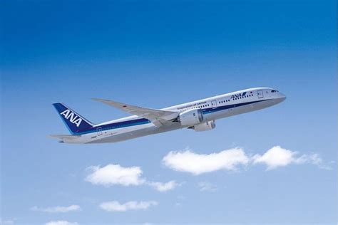 日本ANA航空彩绘飞机_旅游频道_旅游新闻_腾讯·大楚网