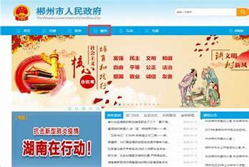 郴州营销型网站优化 的图像结果