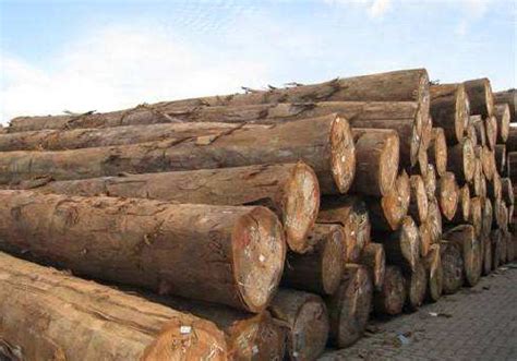 木业行业供需不稳，未来将何去何从？-中国木业网