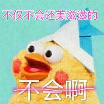 蔡徐坤表情包鹦鹉 - 堆糖，美图壁纸兴趣社区