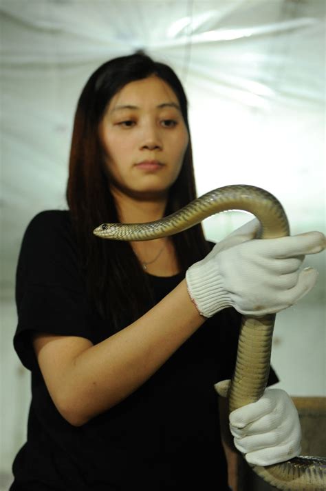 章子怡演青蛇的演技令人折服 青蛇的气场完全碾压白蛇