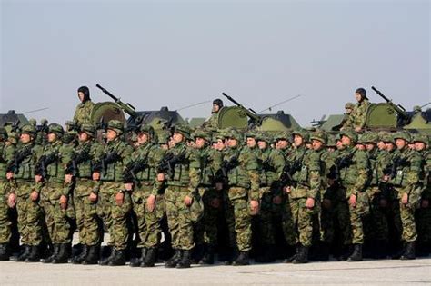 科索沃局势再度升级 塞尔维亚武装部队进入最高战备|再度升级|科索沃|塞尔维亚_新浪军事_新浪网
