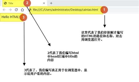 html菜鸟教程,HTML新手如何快速入门