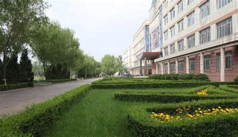 哈尔滨市第十七中学简介-排行榜123网