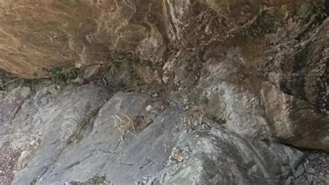 游客手机掉进700米深峡谷，湖北咸宁一景区抽水8小时找到_@所有人_澎湃新闻-The Paper