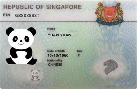 在新加坡更新长期探访准证，需要准备什么资料？
