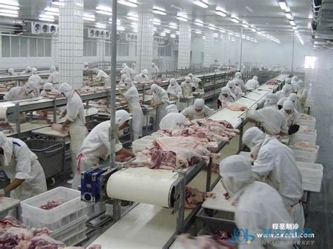 肉类解冻机 冷冻肉解冻设备 山东滨州-食品商务网