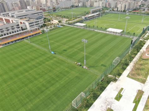 【关注】深圳市青少年足球训练基地正式投用！地点就在光明……_深圳新闻网