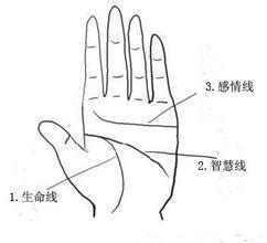断掌手相图解大全图片