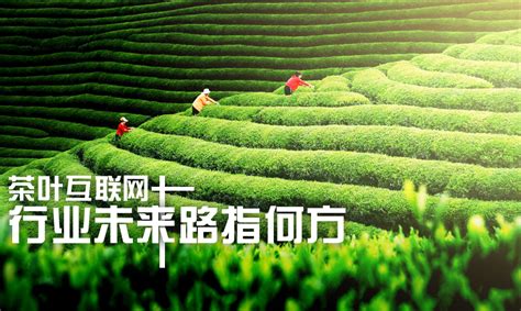 2022-2023年中国茶叶产业：新晋茶企探索新的茶叶细分需求、形成自身特色是关键__财经头条