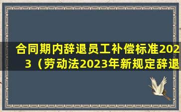 合同期内辞退员工补偿标准2023（劳动法2023年新规定辞退补偿）-玖月律
