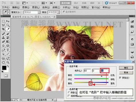 Photoshop初学者教程：解析应用色彩平衡命令(2) - PS教程网