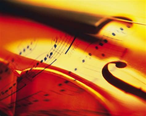 中国古典乐器赏析|平面|书装/画册|CylSir - 原创作品 - 站酷 (ZCOOL)