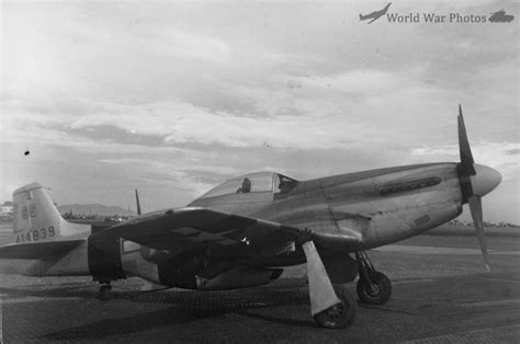 F-6D 44-14839 of the 71st TRG | World War Photos