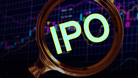 Initial Public Offering (IPO) - SSL Invest