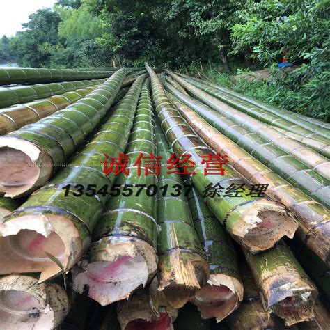 厂家供应竹尾竹杆长度6米小头直径9*11公分 毛竹 竹尾-阿里巴巴