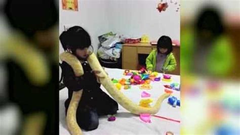 女孩把黄金蟒蛇当作宠物，每天形影不离，抱着都舍不得放_腾讯视频
