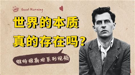 科学网—《维特根斯坦传 天才之为责任》读后记 - 刘进平的博文