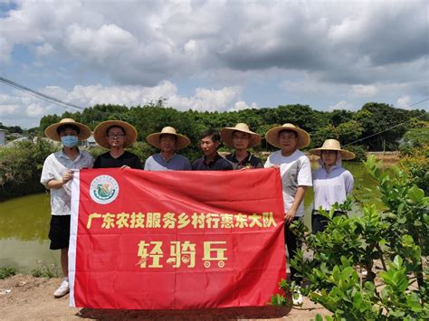 【乡村振兴-驻镇帮镇扶村进行时（八）】特派员团队赴惠东县巽寮滨海旅游度假区走访调研