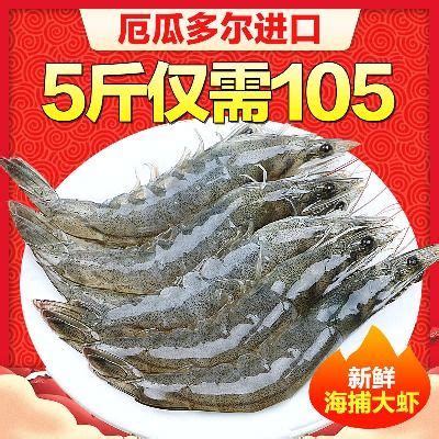 [虎虾批发] 虎虾 节虾 桂虾价格50元/斤 - 惠农网