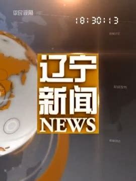 华麦Megamedia 辽宁广播电视台卫星频道