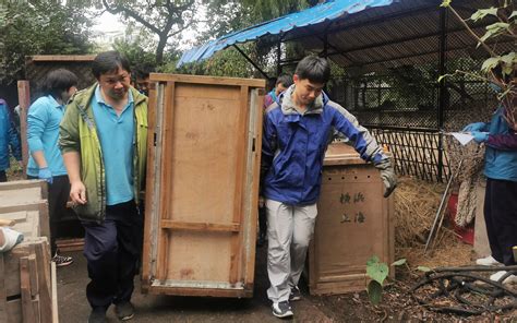 上海动物园繁殖场升级改建计划启动 饲草动物“大搬家”_要闻动态_上海市绿化和市容管理局