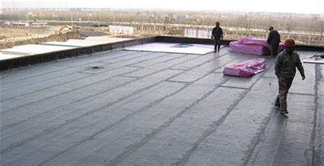 魔法仕 JS聚合物水泥基防水涂料房顶屋顶防水补漏材料楼顶外墙水池鱼池卫生间防漏材料
