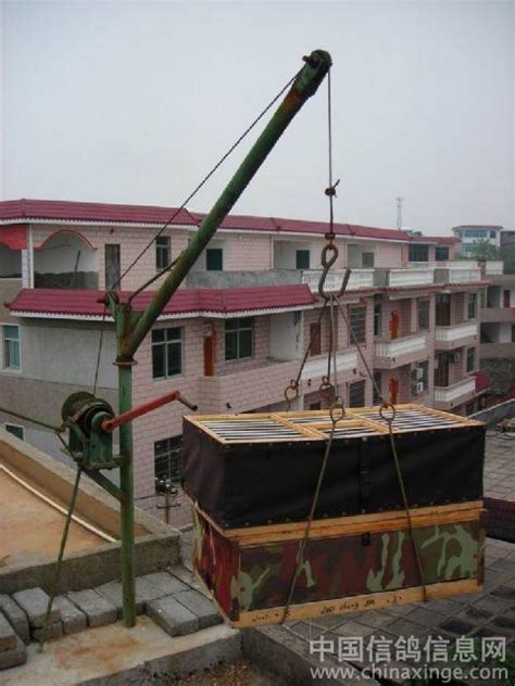 简单实用安全的屋顶鸽舍小吊机-中国信鸽信息网相册