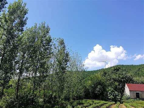 淮南市八公山, 被国际地质学界誉为“蓝色星球”上的生命之源