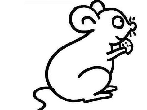 2020鼠年生肖邮票多少钱一套 鼠年生肖邮票怎么购买 _八宝网