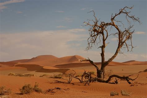荒凉的大沙漠|摄影|风光|cxizx - 原创作品 - 站酷 (ZCOOL)