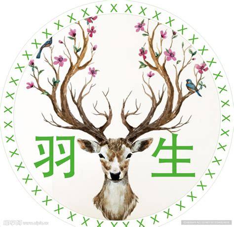 鹿产品体验店logo设计 - 标小智LOGO神器