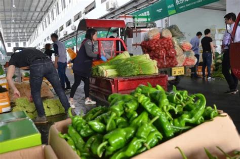 越南水果出口成为农业发展新动力 成长空间巨大 | 国际果蔬报道