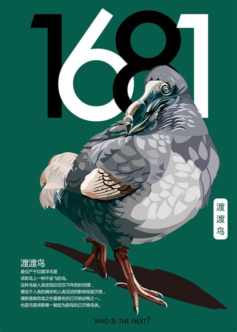 灭绝动物|平面|海报|元元小戒 - 原创作品 - 站酷 (ZCOOL)