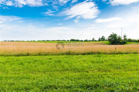 乡村夏日风景绿色的田野和蓝天高清图片下载-正版图片503321124-摄图网