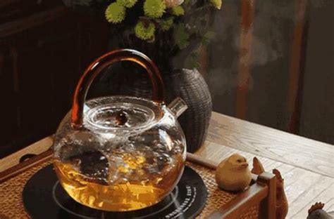福鼎白茶怎么泡 福鼎白茶的正确泡法【图】-润元昌普洱茶网