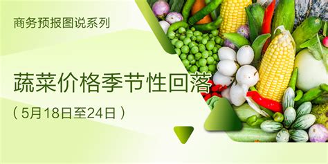 今冬，哈尔滨菜市场调查报告|涨价|蔬菜|菜价_新浪新闻