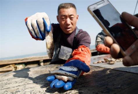 菲律宾渔民生活让人羡慕，扫荡式捕鱼大海一天捕捉上百斤鱼获_腾讯视频