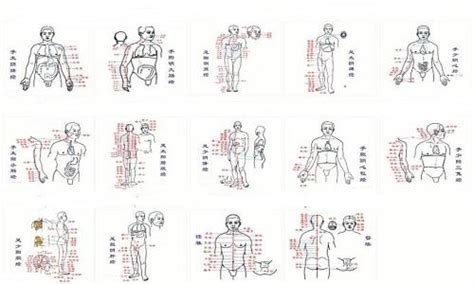 中医的经络学说 - 知乎