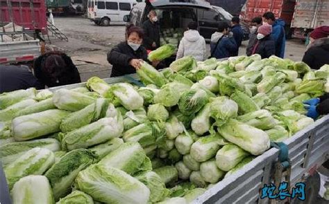 宁波地方标准《智慧菜市场建设规范》10月29日起实施 首批5家“智慧菜市场”今日亮相！