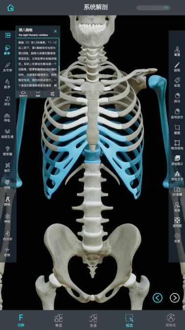 上医宝松堂针灸互动实训平台-沉浸式VR针灸腧穴与解剖虚拟实训系统-上医宝松堂