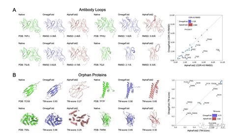 预测蛋白质结构 - CSDN
