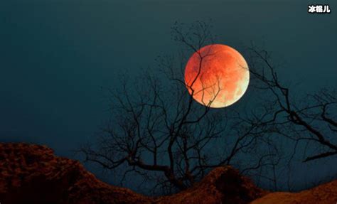 罕见“血色月亮”月全食在美国上演 - 神秘的地球 科学|自然|地理|探索