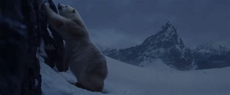 保护北极,保护北极熊海报,保护北极熊_大山谷图库