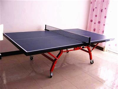 室内双折乒乓球台-河北冠亚体育设施有限公司【首页】